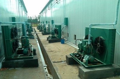 阜陽制冷設備阜陽冷庫壓縮機阜陽制冷配件批發(阜陽制冷)--阜陽阜雪制冷設備工程阜雪制冷