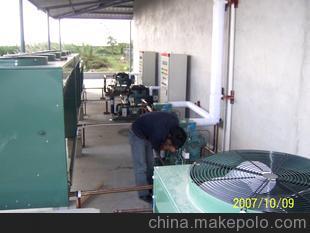 【設(shè)計(jì)新穎】冷庫安裝 制冷設(shè)備安裝【科學(xué)保證 值得信賴】圖片,【設(shè)計(jì)新穎】冷庫安裝 制冷設(shè)備安裝【科學(xué)保證 值得信賴】圖片大全,鹽城紅雨制冷設(shè)備工程-